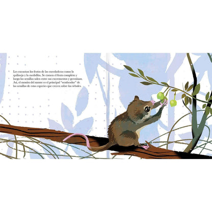 El monito del monte