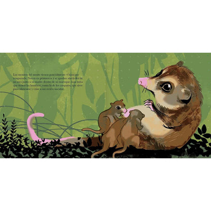 El monito del monte