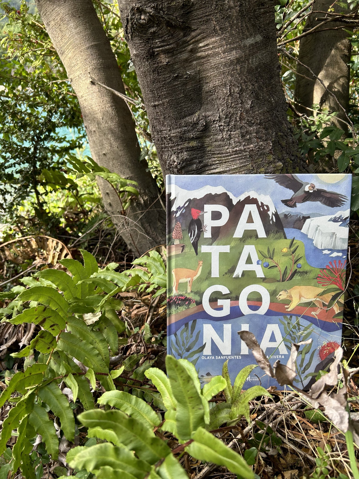 Patagonia