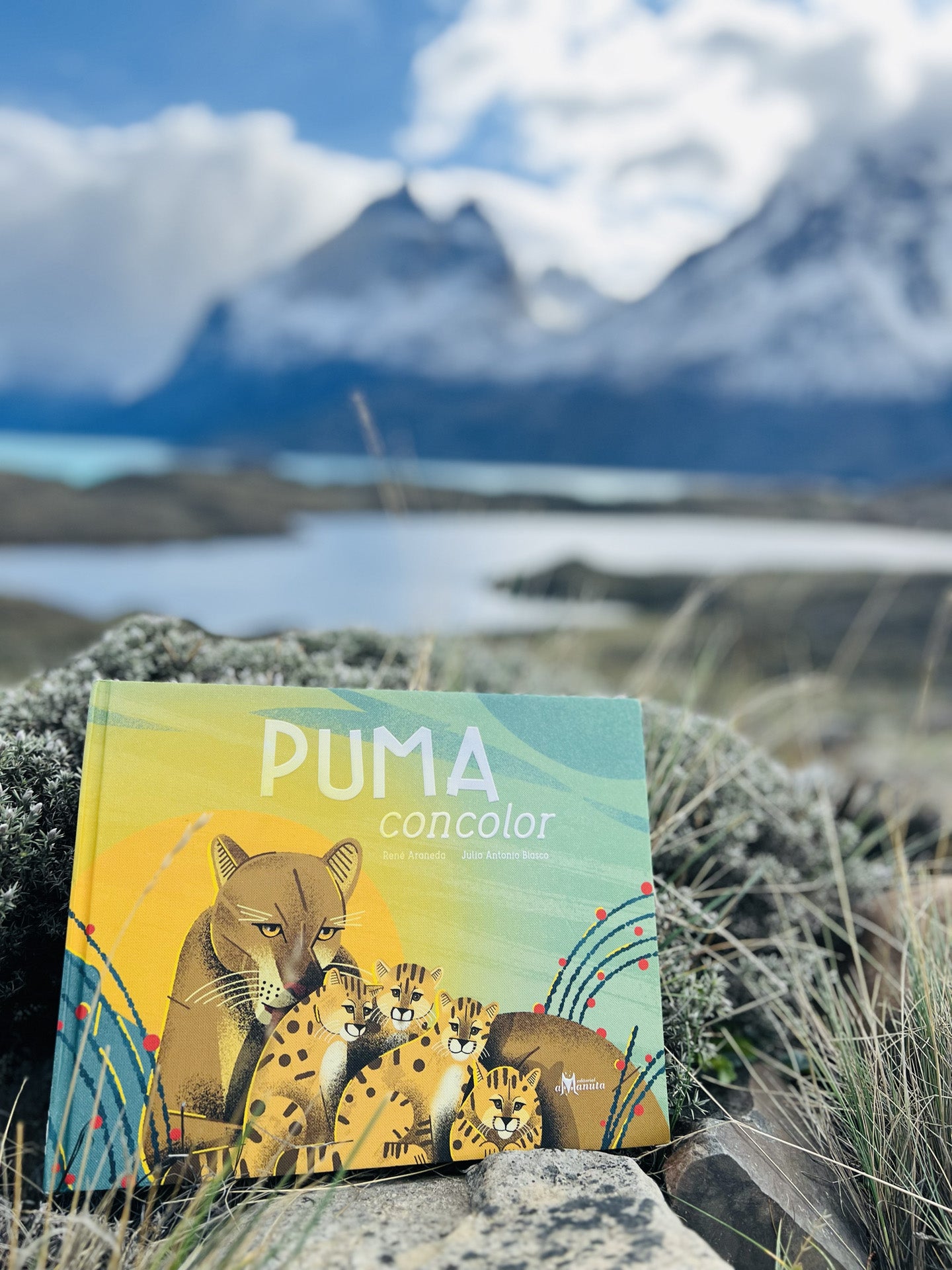 Puma concolor
