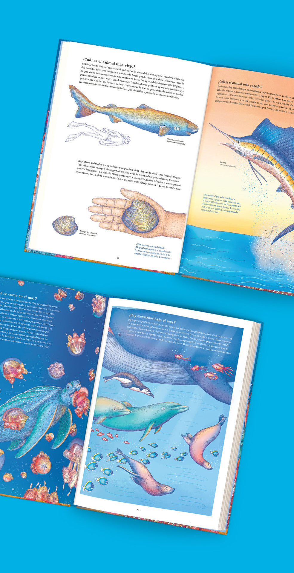 Oceánica
