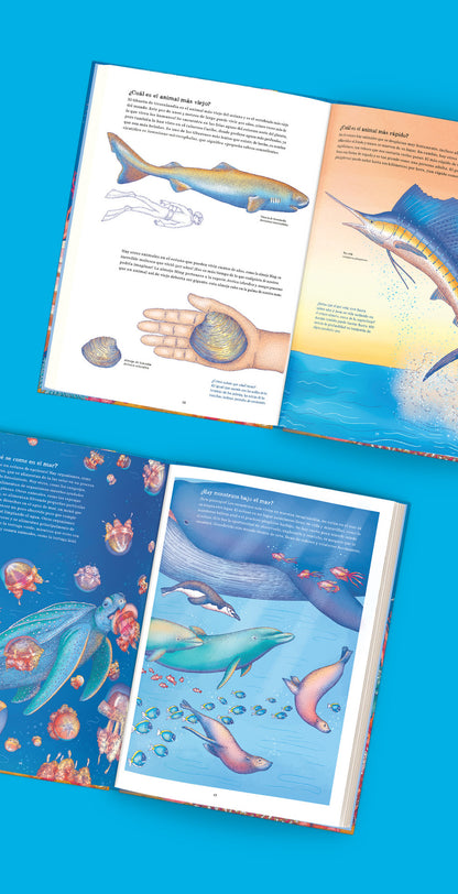 Oceánica