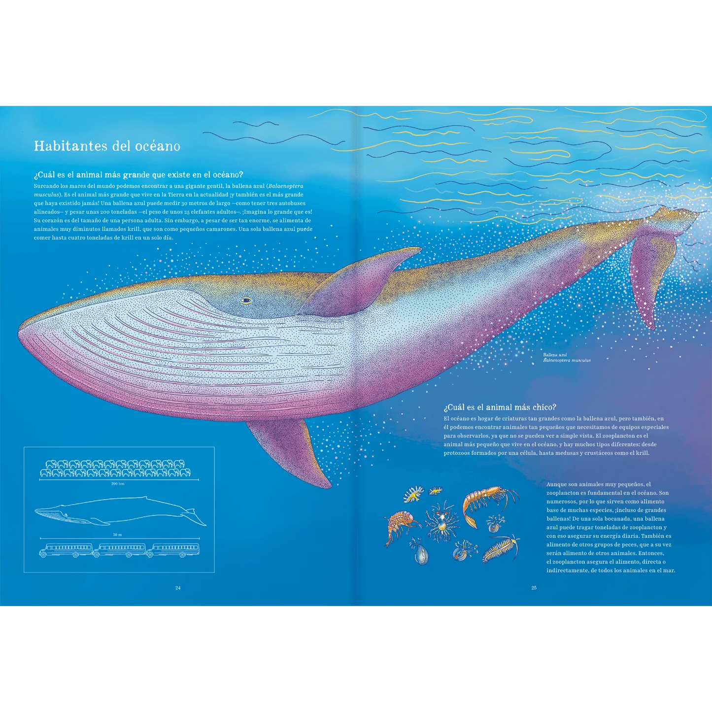 Oceánica