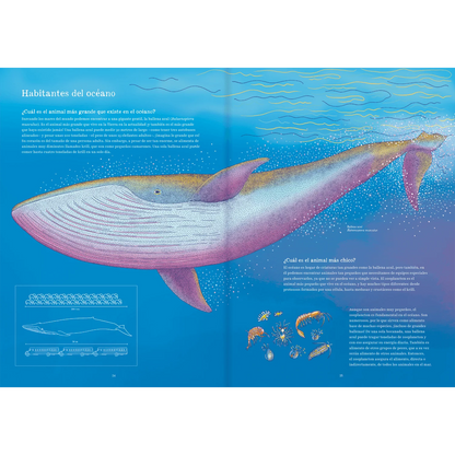 Oceánica