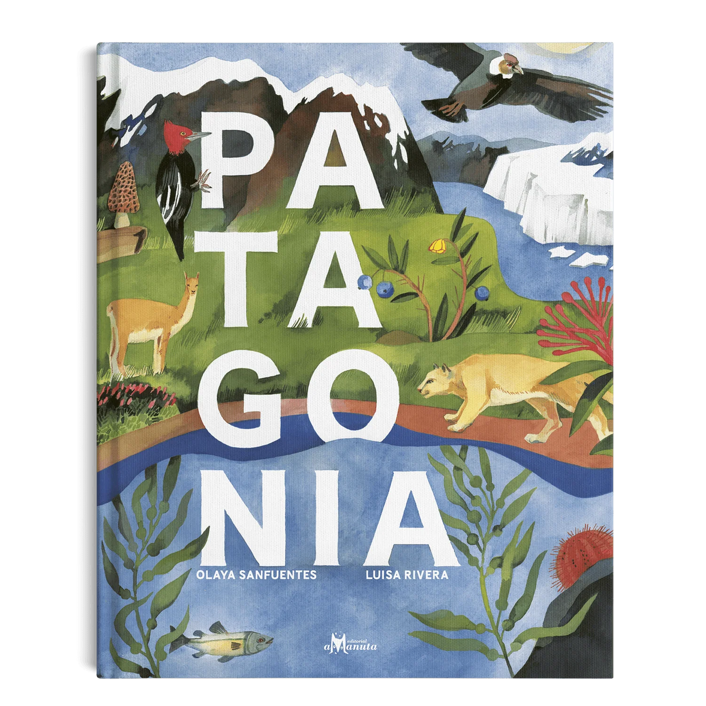 Patagonia