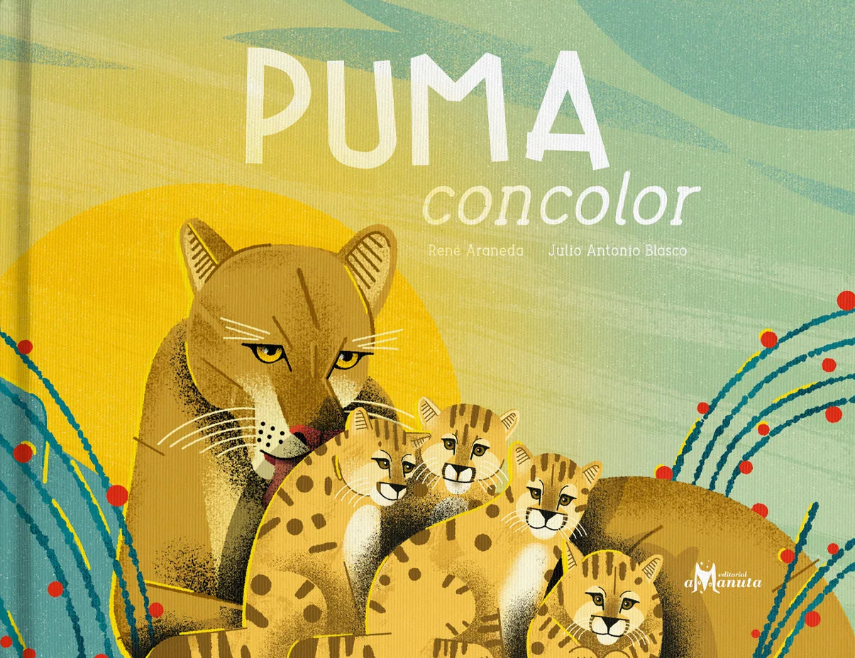 Puma concolor